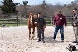 LR-WRF 0402026 Retreat-3251